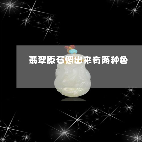 翡翠原石照出来有两种色/2023051371505