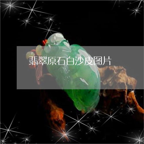 翡翠原石白沙皮图片/2023122061796