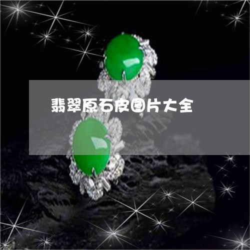 翡翠原石皮图片大全/2023121942505