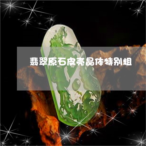 翡翠原石皮壳晶体特别粗/2023051308683