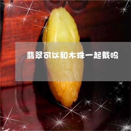 翡翠可以和木珠一起戴吗/2023051384147