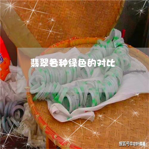 翡翠各种绿色的对比/2023121904837