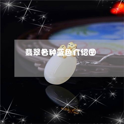 翡翠各种蓝色介绍图/2023093004793