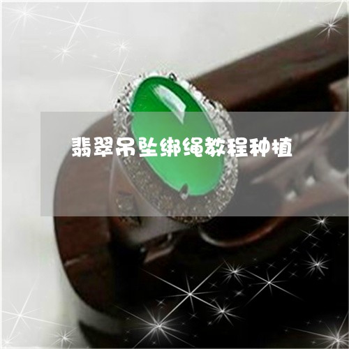 翡翠吊坠绑绳教程种植/2023100781692