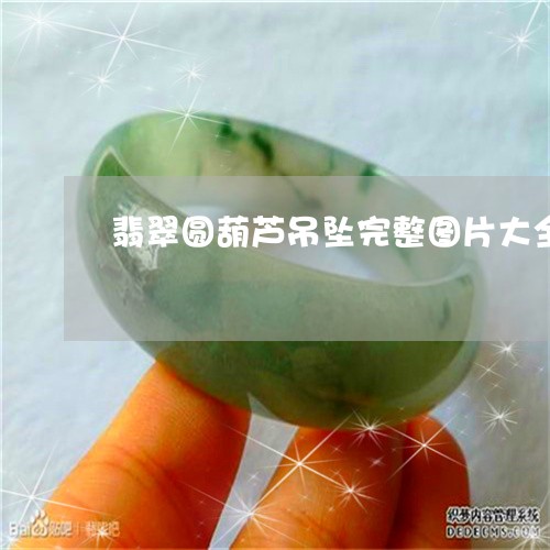 翡翠圆葫芦吊坠完整图片大全/2023112494927