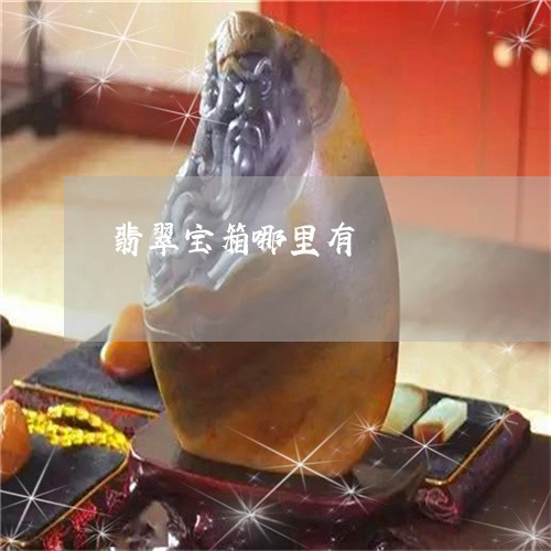 翡翠宝箱哪里有/2023061465148