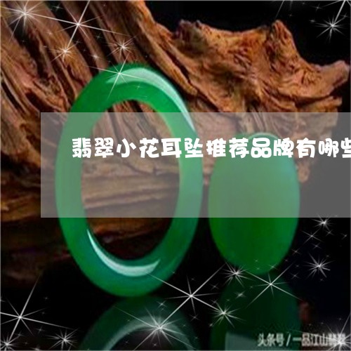 翡翠小花耳坠推荐品牌有哪些/2023120316251