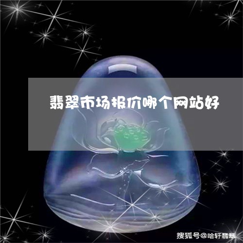 翡翠市场报价哪个网站好/2023051314938