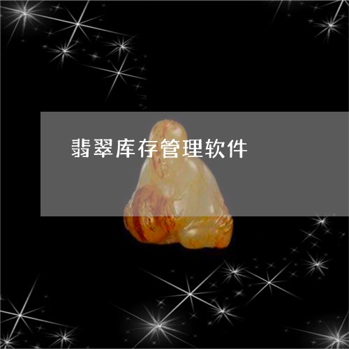 翡翠库存管理软件/2023032782826