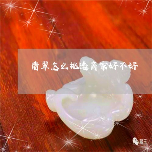 翡翠怎么挑选商家好不好/2023051362795