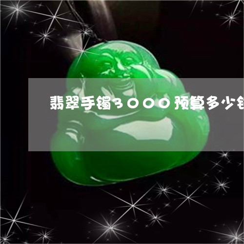 翡翠手镯3000预算多少钱/2023092939405