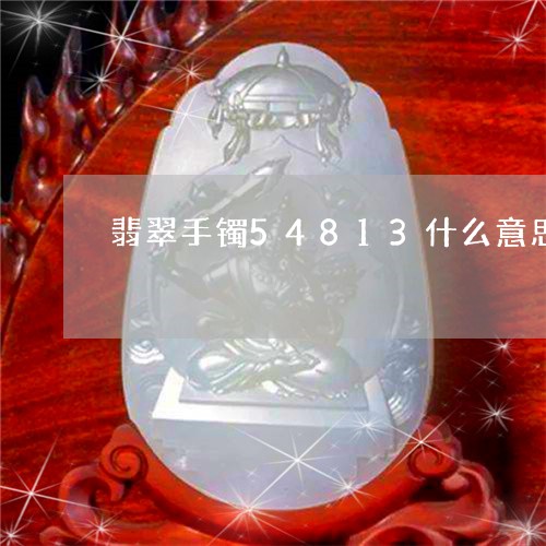 翡翠手镯54813什么意思/2023112423039