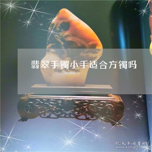 翡翠手镯小手适合方镯吗/2023051126138