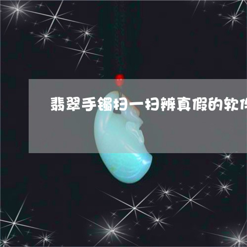 翡翠手镯扫一扫辨真假的软件/2023092906179