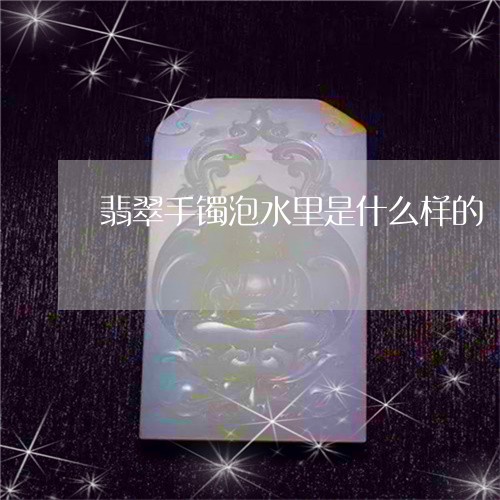 翡翠手镯泡水里是什么样的/2023072237370