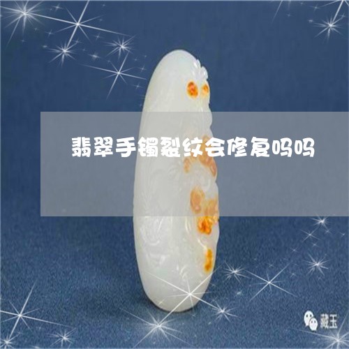 翡翠手镯裂纹会修复吗吗/2023051013716