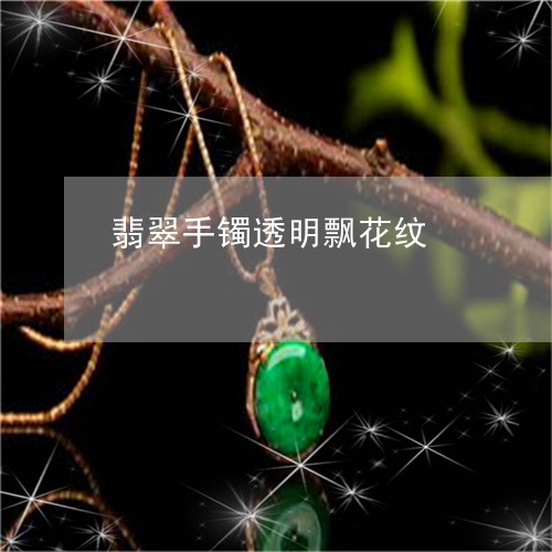 翡翠手镯透明飘花纹/2023120510606