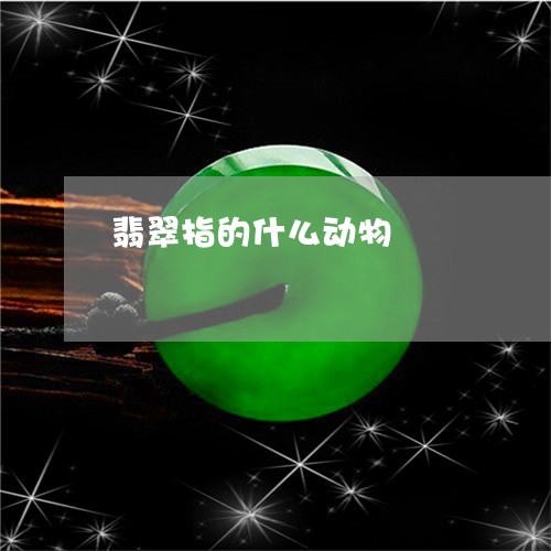 翡翠指的什么动物/2023080164925