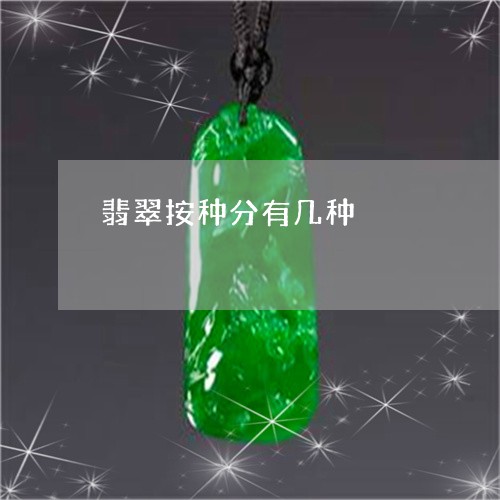 翡翠按种分有几种/2023080177151