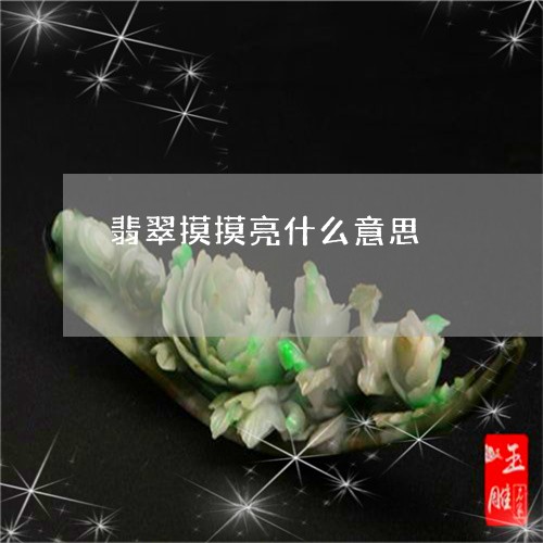 翡翠摸摸亮什么意思/2023120542805