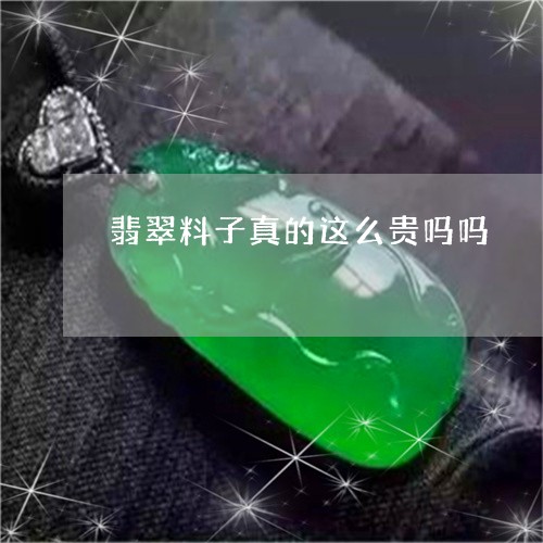 翡翠料子真的这么贵吗吗/2023102443714