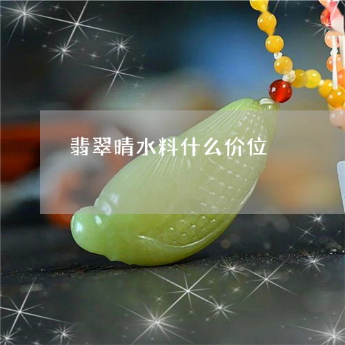 翡翠晴水料什么价位/2023120318371