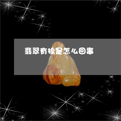 翡翠有棉是怎么回事/2023120324825