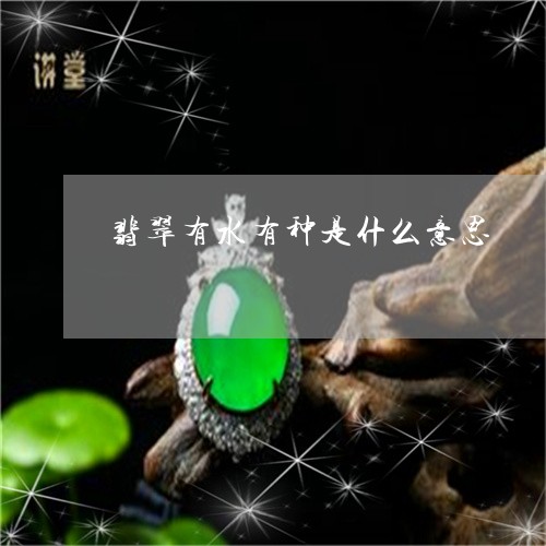 翡翠有水有种是什么意思/2023062041814