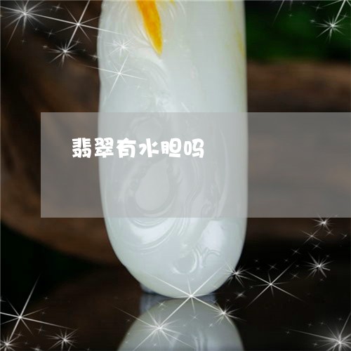 翡翠有水胆吗/2023053155080