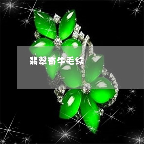 翡翠有牛毛纹/2023053153703