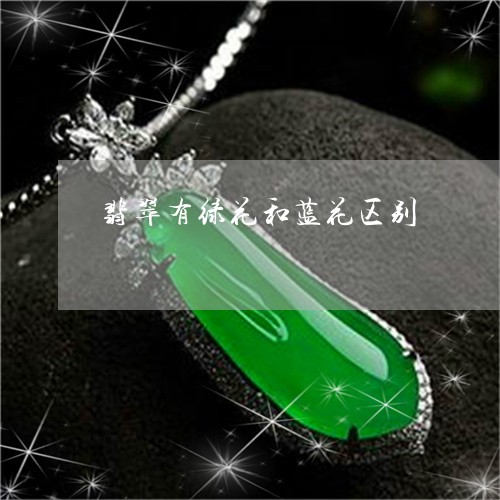 翡翠有绿花和蓝花区别/2023051299604