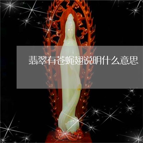 翡翠有苍蝇翅说明什么意思/2023042717503