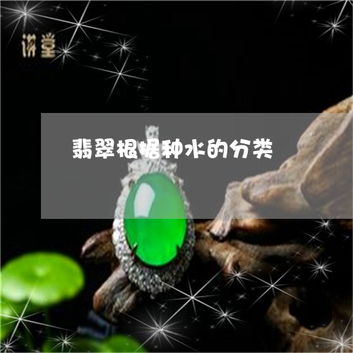 翡翠根据种水的分类/2023120449281