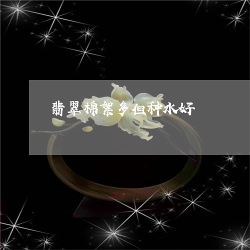 翡翠棉絮多但种水好/2023120460583