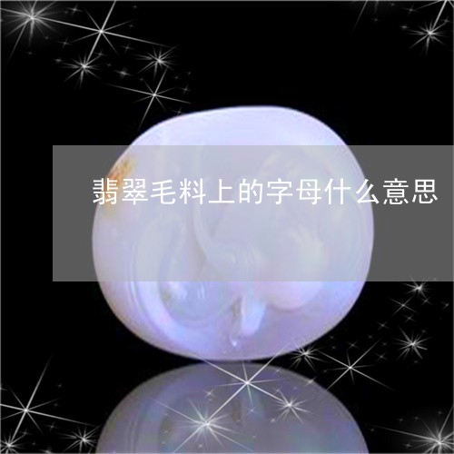 翡翠毛料上的字母什么意思/2023072145847