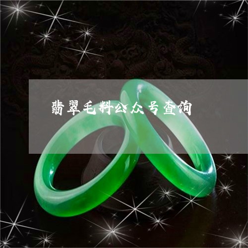 翡翠毛料公众号查询/2023120403706