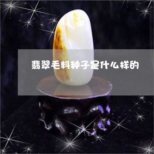 翡翠毛料种子是什么样的/2023102433037