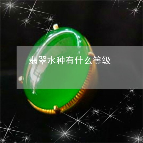 翡翠水种有什么等级/2023120438352