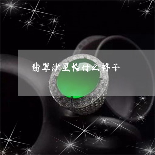 翡翠沙星长什么样子/2023120467251