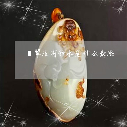 翡翠没有种水是什么意思/2023042212736