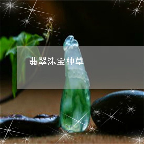 翡翠洙宝种草/2023092979825