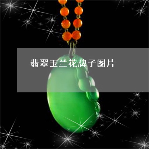 翡翠玉兰花牌子图片/2023120521605