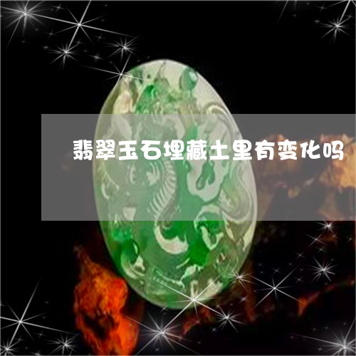 翡翠玉石埋藏土里有变化吗/2023072214018