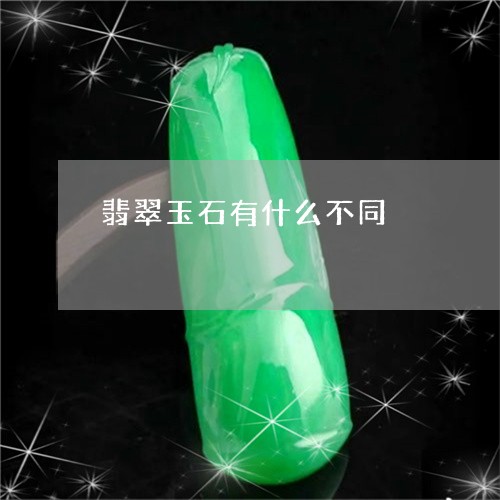 翡翠玉石有什么不同/2023120370491