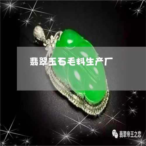 翡翠玉石毛料生产厂/2023120338460