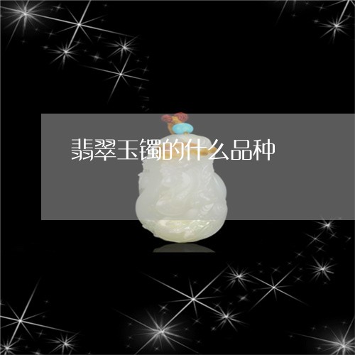 翡翠玉镯的什么品种/2023120493038