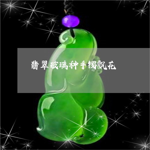 翡翠玻璃种手镯飘花/2023120535059