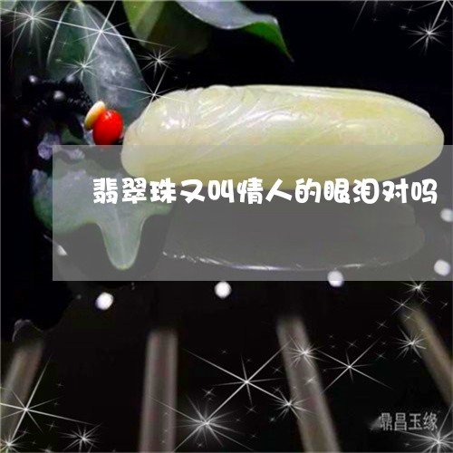 翡翠珠又叫情人的眼泪对吗/2023042608170