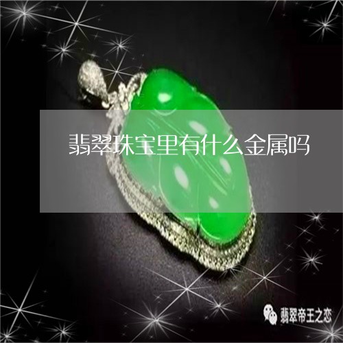 翡翠珠宝里有什么金属吗/2023111723926