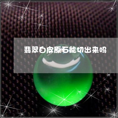 翡翠白皮原石能切出来吗/2023041645147